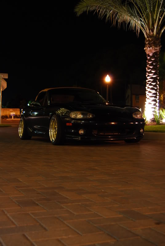 Name:  DSC_0250.jpg
Views: 190
Size:  72.4 KB