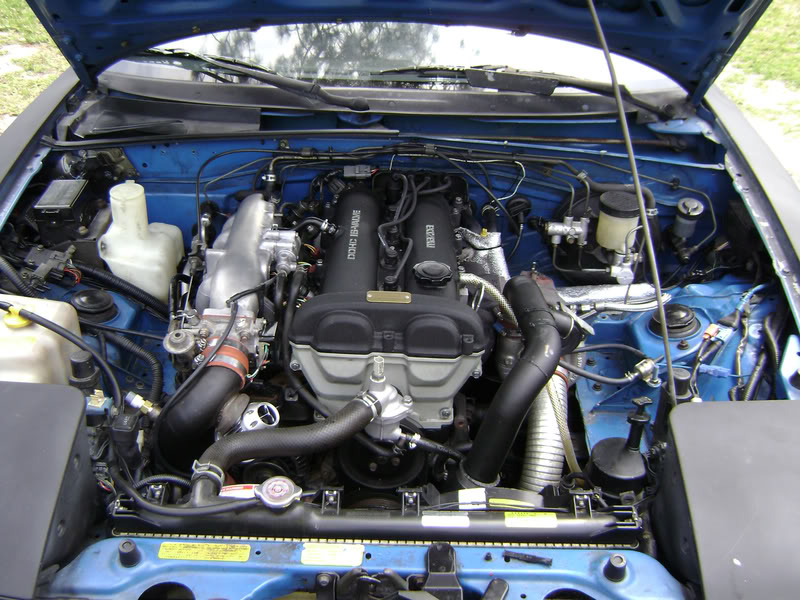 Name:  enginebayy.jpg
Views: 287
Size:  119.4 KB