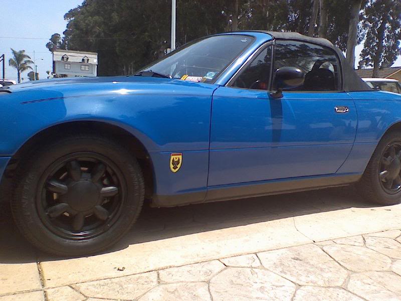 Name:  outside.jpg
Views: 122
Size:  65.7 KB