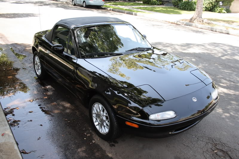 Name:  shantalol4.jpg
Views: 215
Size:  104.2 KB