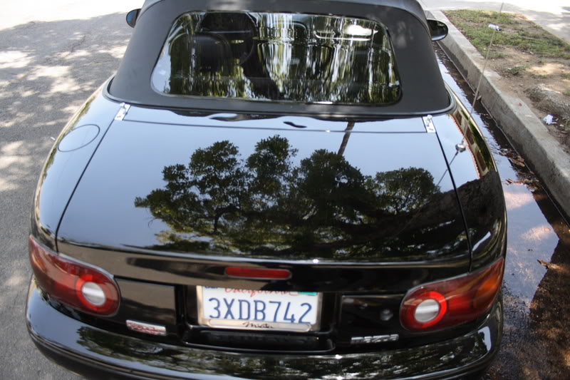 Name:  shantalol1.jpg
Views: 132
Size:  91.3 KB