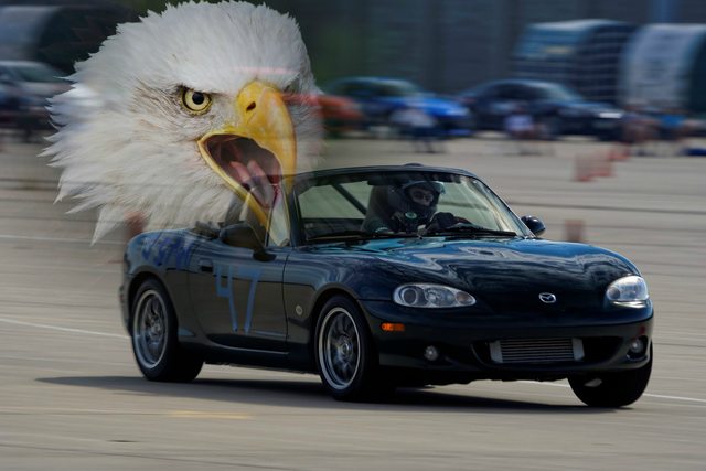 Name:  pZBbJxql.jpg
Views: 126
Size:  41.0 KB