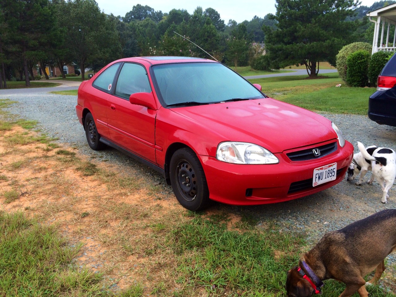 Name:  ue5jRzh.jpg
Views: 56
Size:  427.4 KB