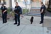 The hero warrior cop is ready to get roided up, rape, and drink and drive-7.6.14-jersey-city-cops-use-tranquilizer-instead-bullets-dog-arrest-owner1-590x393.jpg