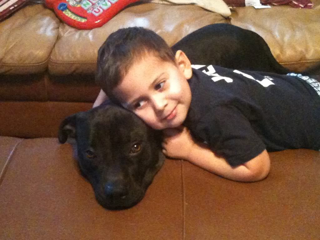 Name:  68db02b1.jpg
Views: 99
Size:  110.7 KB