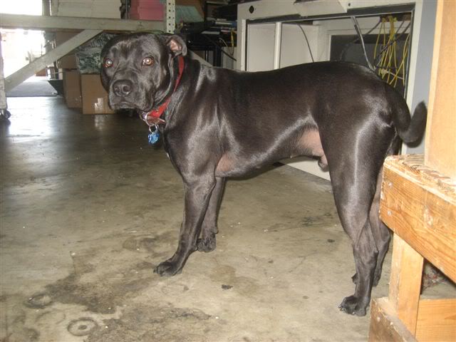 Name:  IMG_8774.jpg
Views: 145
Size:  49.0 KB