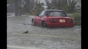 Stupid Effing Hurricane Thread-img_27401.png