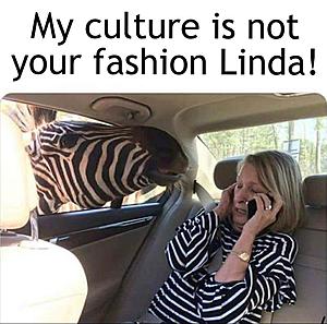 Generation Wuss and related crap-bfqfsdc.jpg