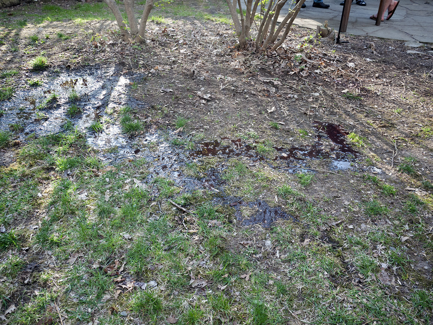 Name:  K0UhQDb.jpg
Views: 179
Size:  1.22 MB