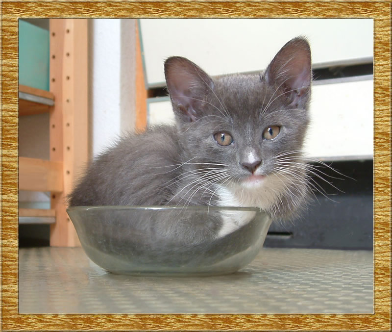 Name:  YMoZ9.jpg
Views: 24
Size:  121.0 KB