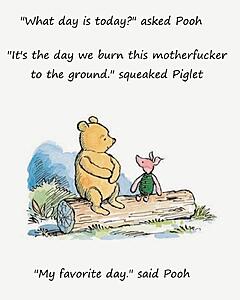 The Current Events, News, and Politics Thread-substack-b5f1f2a6-d9ba-4b8c-a0d8-3e2d185449d4.jpeg