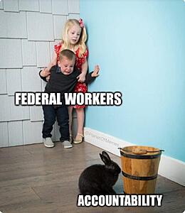 The Current Events, News, and Politics Thread-substack-7349176f-40bb-48f1-bded-fee055b90d36.jpeg