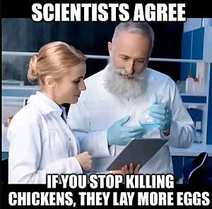 The Current Events, News, and Politics Thread-substack-746c24d6-0ede-402a-ba4e-b75f8eb8e428.jpeg