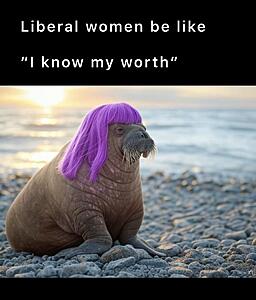 Generation Wuss and related crap-substack-4e9c129f-23d5-48dc-8c40-e9c491d4e935.jpeg