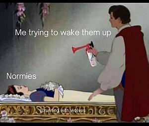 The Current Events, News, and Politics Thread-substack-da8ce1d4-a2cc-4cb5-9c7e-3fd66f72b576.jpeg