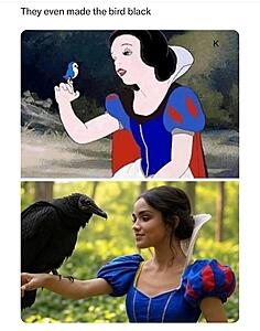 Generation Wuss and related crap-substack-7cd4acae-04fc-483c-a115-21a2c142752b.jpeg