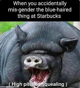 Generation Wuss and related crap-substack-cc8561e8-23a0-4633-94af-8a6ec566b95b.jpeg