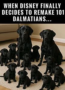 The Current Events, News, and Politics Thread-substack-e29617ff-e820-4ff5-a585-d2e6d33cb725.jpeg