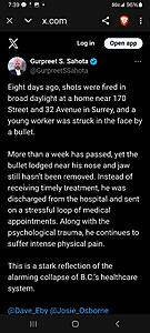 The Current Events, News, and Politics Thread-screenshot_20251211_193913_brave.jpg