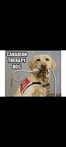 The Current Events, News, and Politics Thread-screenshot_20251211_194642_gallery.jpg