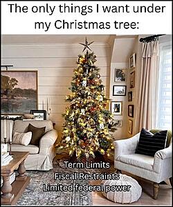 The Current Events, News, and Politics Thread-substack-fd6eff13-56cd-4253-a95a-5bc9fd4733aa.jpeg