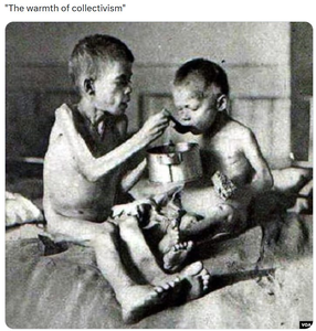 The Current Events, News, and Politics Thread-substack-54ed4688-3042-45dd-afe5-98fed72da636.png