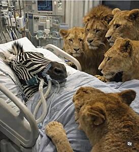 The Current Events, News, and Politics Thread-screenshot_20260119_150335_substack.jpg