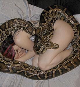 The Current Events, News, and Politics Thread-tumblr_l_3514511175063.jpg