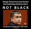 Trayvon Martin: What say y'all?-1472806_613241452072376_1184130466_n.jpg