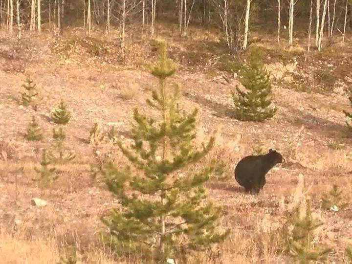 Name:  14141848_1396924890320915_9055882988700629903_n1.jpg
Views: 292
Size:  69.4 KB