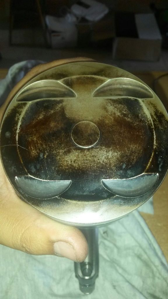 Name:  IMG-20160731-WA0002_zpsamm05weh.jpg
Views: 505
Size:  75.4 KB