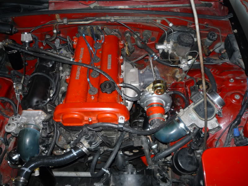 Name:  P1000303.jpg
Views: 1581
Size:  150.0 KB