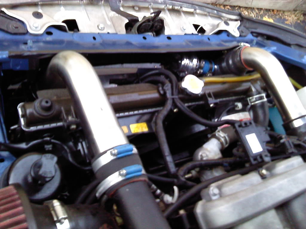 Name:  P081110_1626_01.jpg
Views: 1363
Size:  135.7 KB