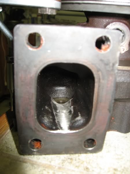 Name:  IMG_0384800x600.jpg
Views: 720
Size:  31.1 KB