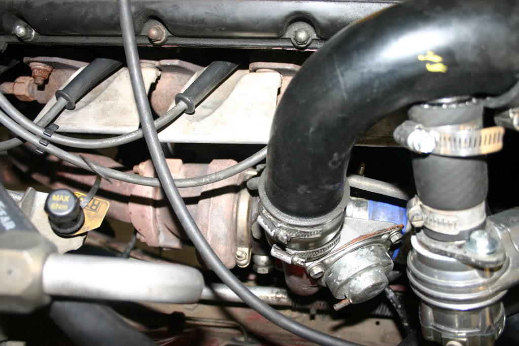 Name:  IMG_2505small.jpg
Views: 1636
Size:  116.5 KB