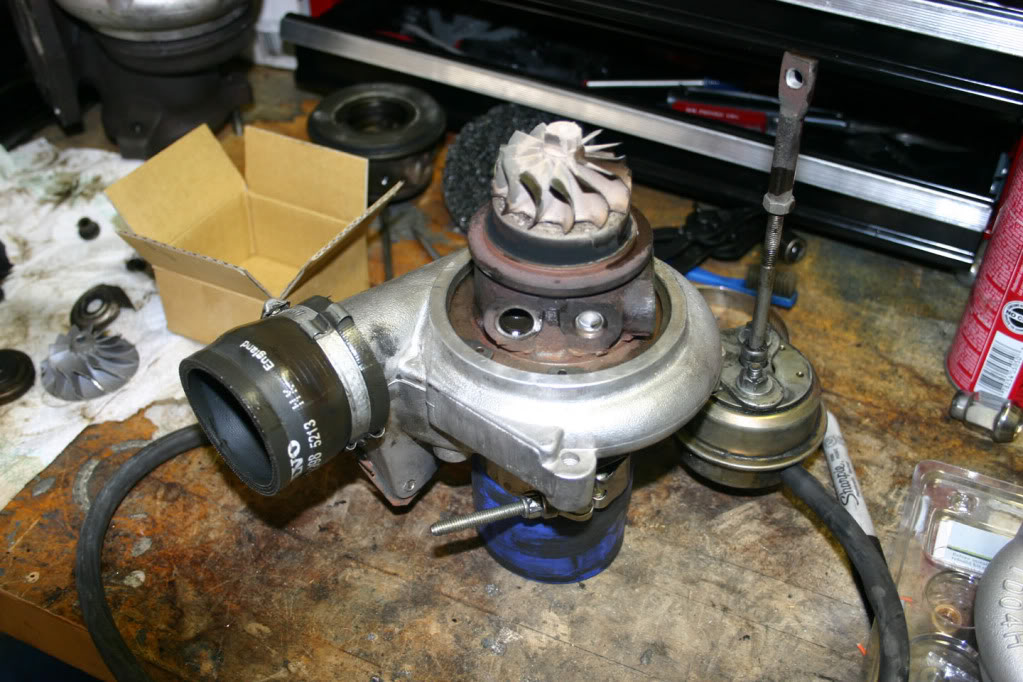 Name:  IMG_2511small.jpg
Views: 1760
Size:  139.4 KB