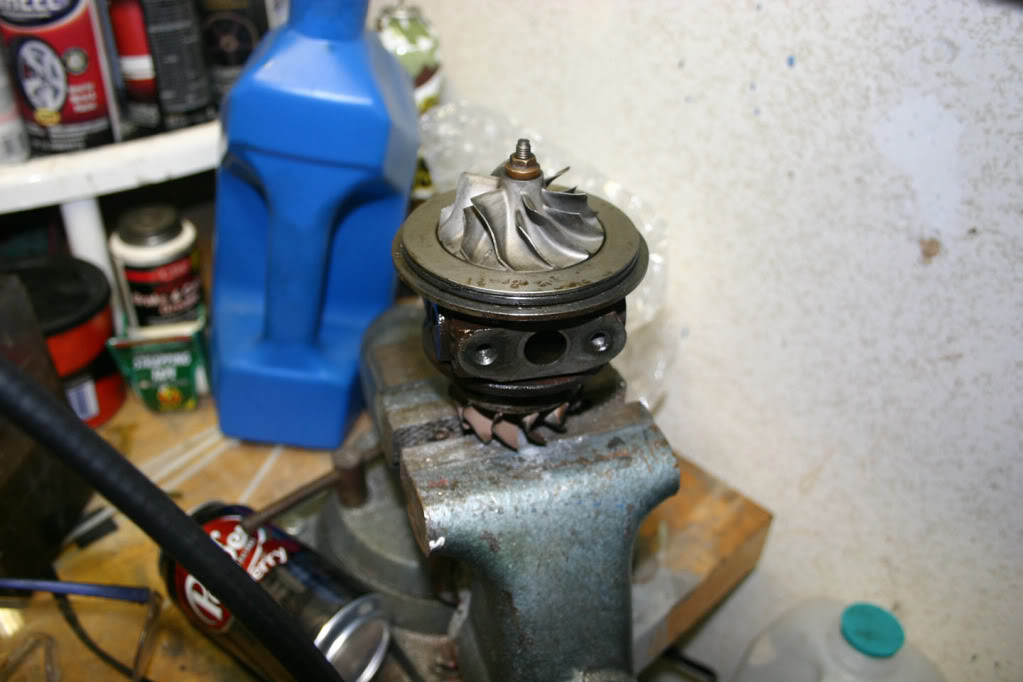 Name:  IMG_2516small.jpg
Views: 1625
Size:  79.4 KB