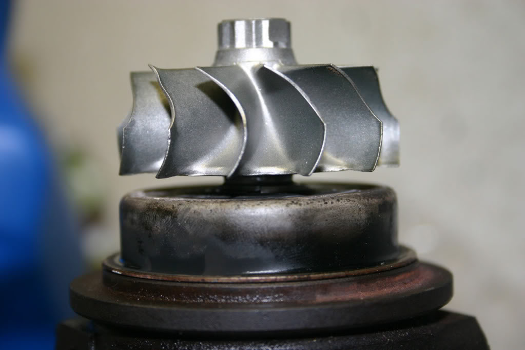 Name:  IMG_2540small.jpg
Views: 1632
Size:  64.6 KB