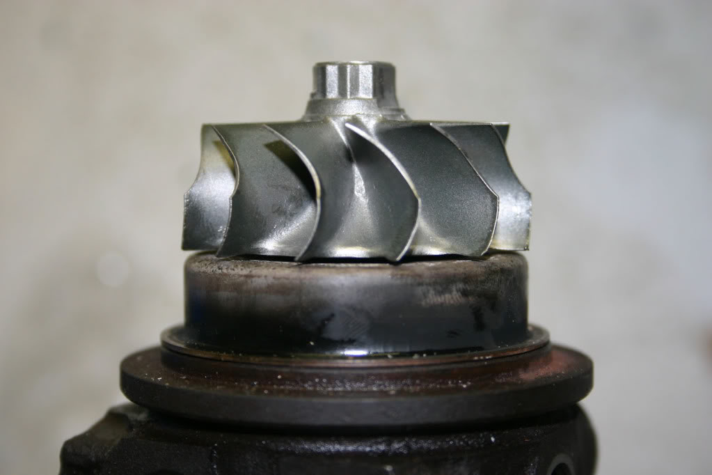 Name:  IMG_2543small.jpg
Views: 1590
Size:  58.2 KB