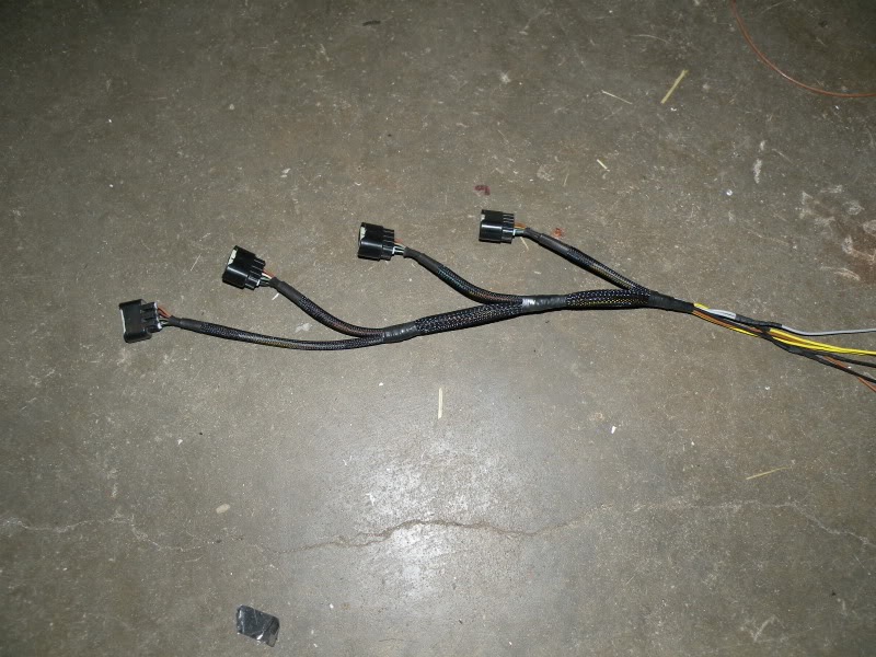 Name:  DSCN4787.jpg
Views: 169
Size:  143.4 KB