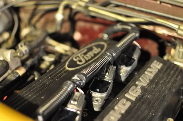 Name:  DSC_0541.jpg
Views: 174
Size:  42.0 KB