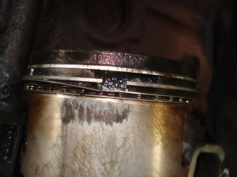 Name:  240build165.jpg
Views: 97
Size:  65.1 KB