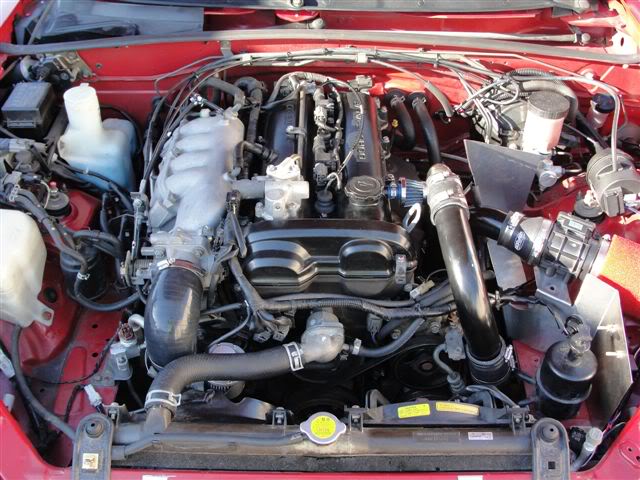 Name:  DSC01946.jpg
Views: 83
Size:  74.9 KB