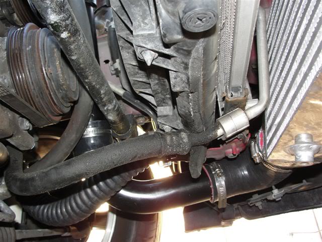 Name:  DSC01952.jpg
Views: 81
Size:  64.5 KB