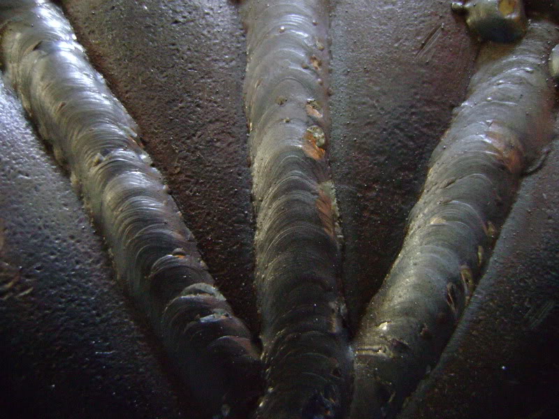 Name:  DSC01764.jpg
Views: 86
Size:  128.0 KB