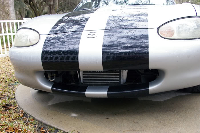 Name:  IMGP3911_small.jpg
Views: 344
Size:  78.4 KB