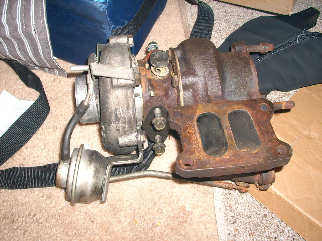 Name:  Picture333008-1.jpg
Views: 215
Size:  363.7 KB