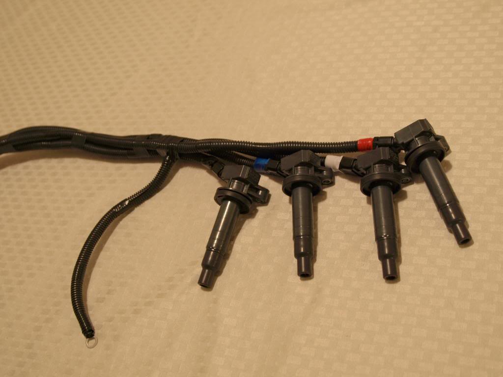 Name:  P1130304.jpg
Views: 152
Size:  63.2 KB