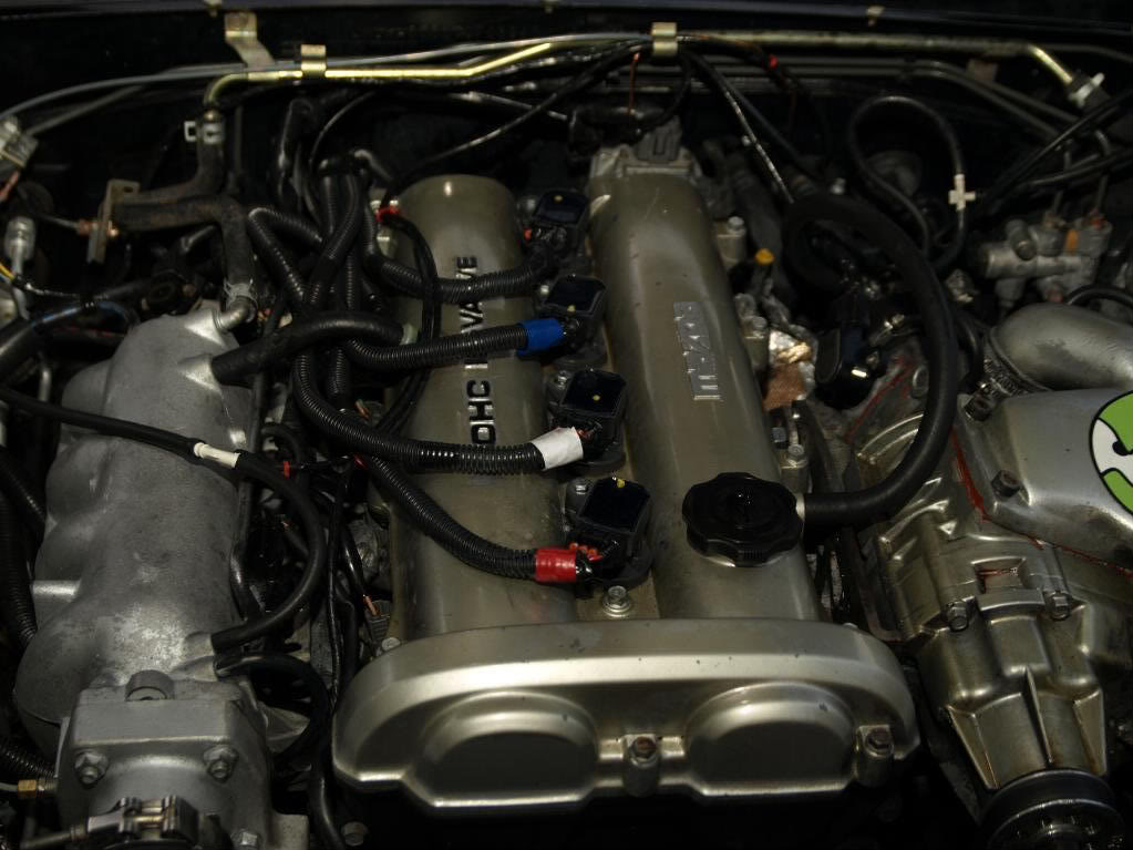 Name:  P1170312.jpg
Views: 165
Size:  100.8 KB