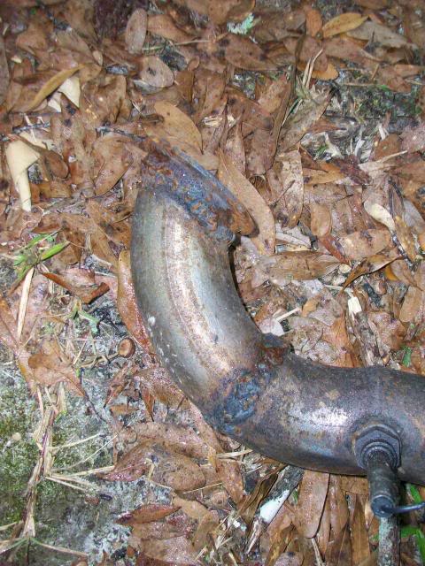 Name:  100_0344.jpg
Views: 74
Size:  116.5 KB